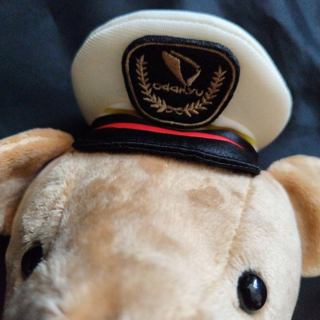 [USED] [Tagged] Limited-Quantity Release Tully's x Odakyu Collaboration Teddy Bear Romance Car