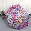 1pc Cats and Flowers Pattern Umbrella with Plastic Handle,Suitable for All Seasons UmbrellaPT527