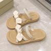 Fairy wind platform slippers female outer wear summer 2025 new small two wear French fashion muffin Roman shoes