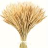 50 Stück Hochwertige Natürliche Weizenähren - DIY Bauernhausdeko, Tischmittelstück, Hochzeit- & Party-Verzierung, Erntekranz