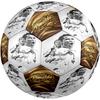 Ronaldo's Juventus Fc Player Action Size 5 Football Machine-Stitched Indoor/Outdoor Universal Football Perfect Commemorative Gift for Soccer Lovers
