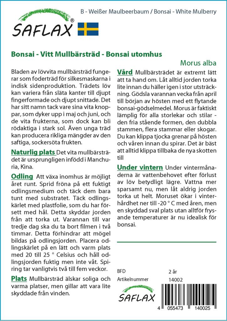 SAFLAX Bonsai - Moruše bílá - 200 semen - Se substrátem pro lepší pěstování - Morus alba