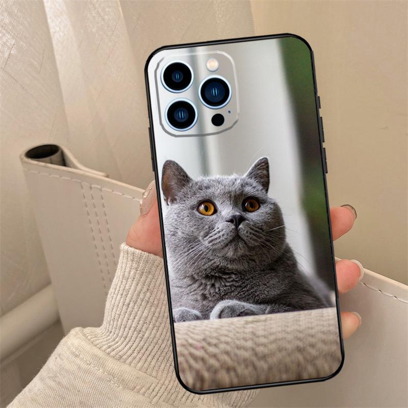 British Shorthair Cat Phone Case For iPhone 16 15 14 11 12 13 17 Pro Max Mini 15 16 Plus 16e 17 Air Cover Coque