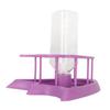 Automatic Reptile Water Feeder Safe Purple Fence Reptile Water Drinker Dispenser with Bottle for   Reptile Supplies