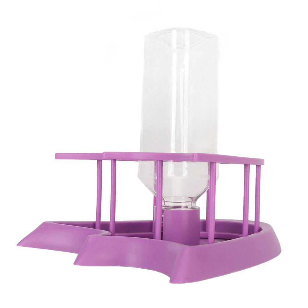 Automatic Reptile Water Feeder Safe Purple Fence Reptile Water Drinker Dispenser with Bottle for   Reptile Supplies