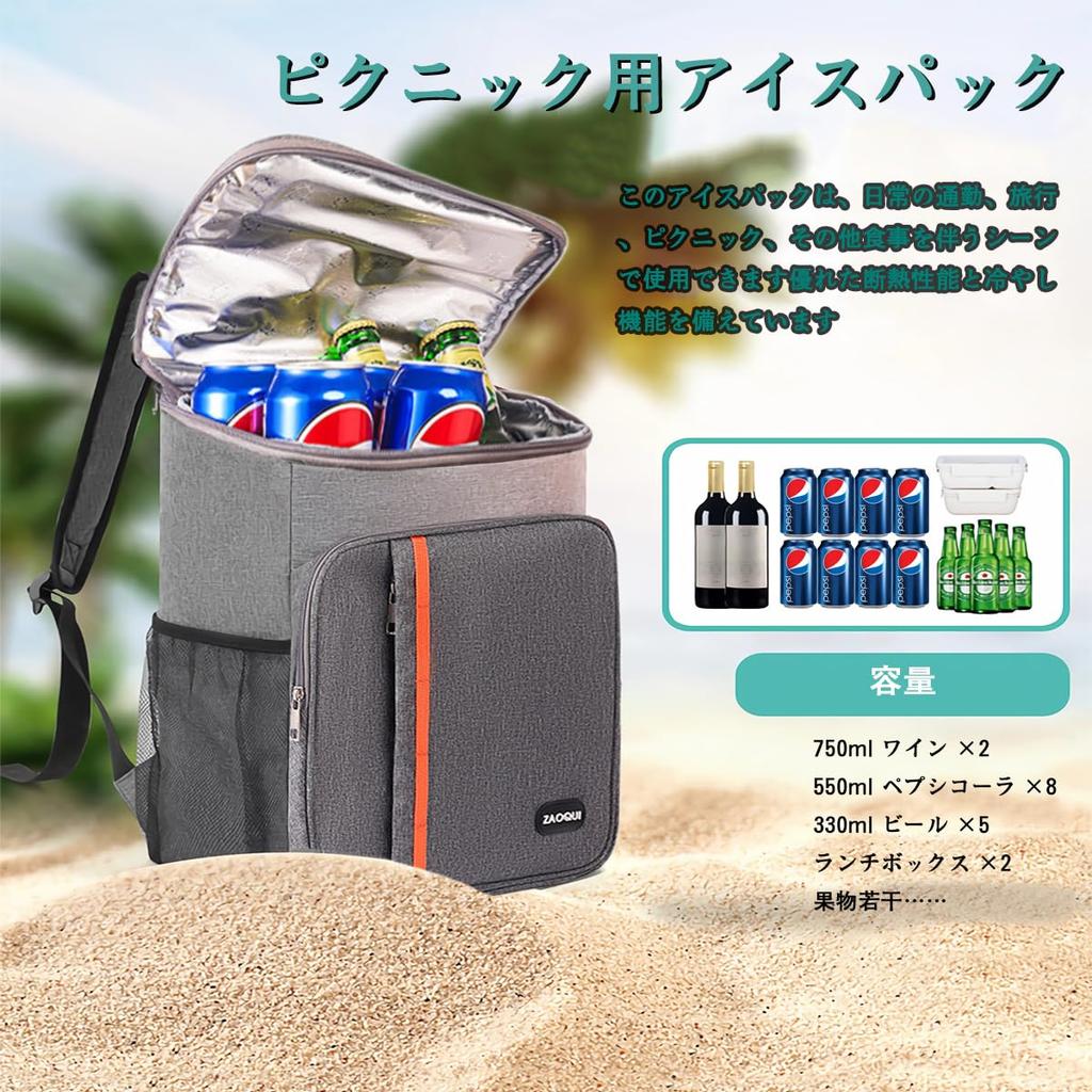 AnT Insulated Backpack Cooler 20L Extra Thick Handbag and Shoulder Suitable for Various Occasions Such As Outdoor and Box, Foldable, Compact,