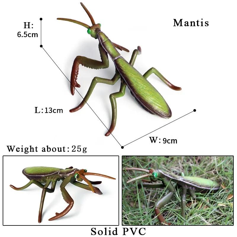 Oenux Simulation Dragonfly Grasshopper Centipede Wild Insect Animals Model Action Figures Miniature Education Collection Kid Toy