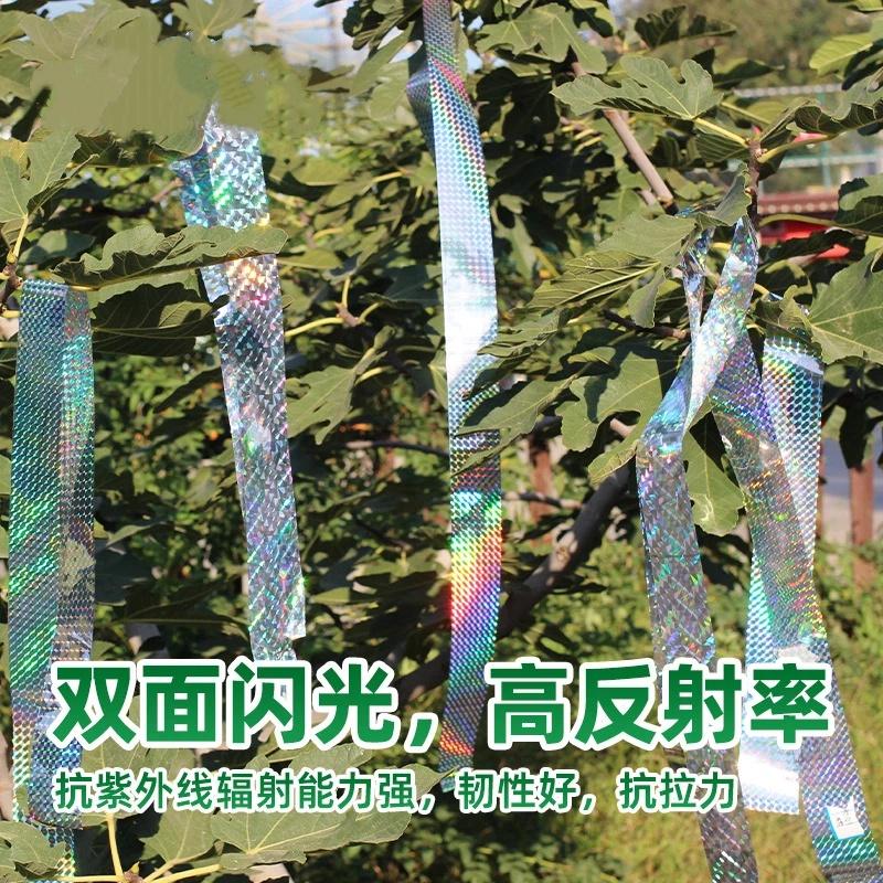 Vogelschutz Holografisches Band 1 Rolle Doppelseitiges Reflektierendes Abschreckungsband Kein Schaden für Vögel für den Außenbereich Garten Obstgarten