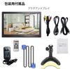 inch LCD small monitor HDMI VGA BNC AV various connections full field of view sub display speaker Japanese menu 11.6 19201080 built-in