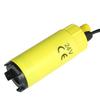Portable Electric Pump Submersible Fuel Transfer Pump with Outlet Size of 19mm Filter 2 Aligator