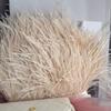 8-10Cm Ostrich Trim Khaki Feather Ribbon Fringe For Sewing High Quality Plumas Crafts Costumes Party Decoration
