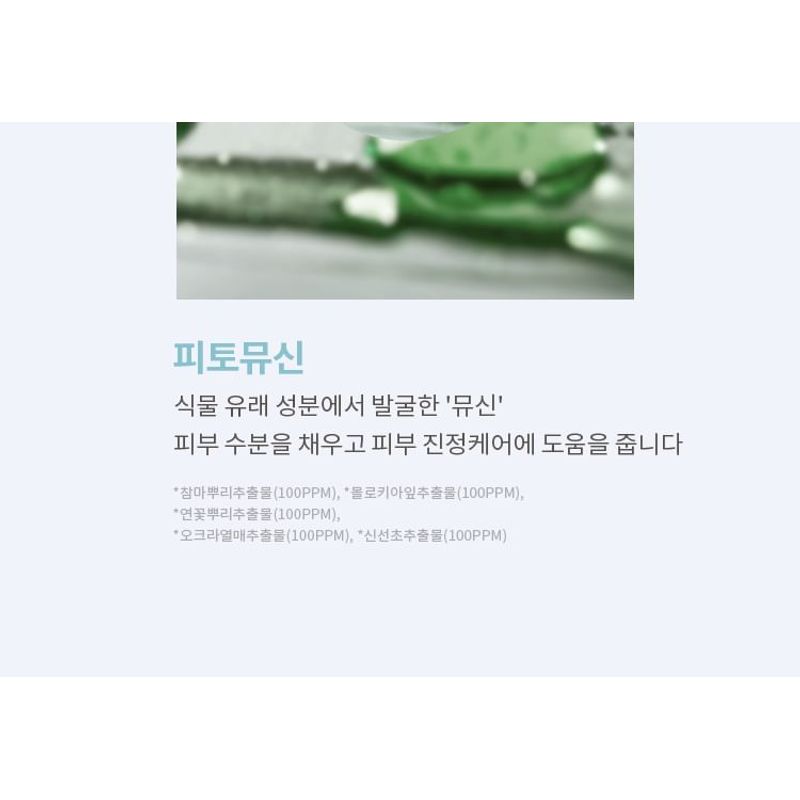 MISSHA Layering Fit Pine Phyto Mucin Serum Cushion - 2 Colors