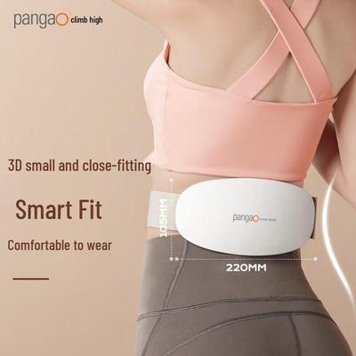 PANGAO Rechargeable Pulse & Red Light Heat Waist Massager CN Plug (adapter Included)