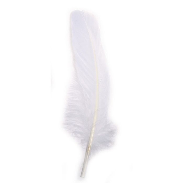 Goose Feather, 16-20 Cm, 8 Pcs, White