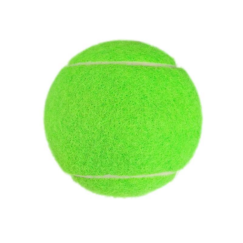 LISM Professional Training Tennis Balls