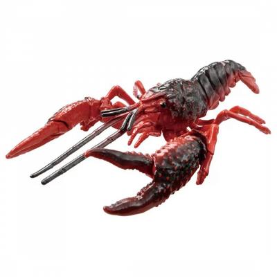 Ania American Crayfish  AnimAl Adventure  Al 31