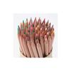 MUJI Colored Pencils, 60 Colors - in a cardboard tube case, Item No. 15355488