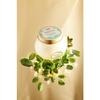 SABON Head Scrub Refreshing Mint 300g