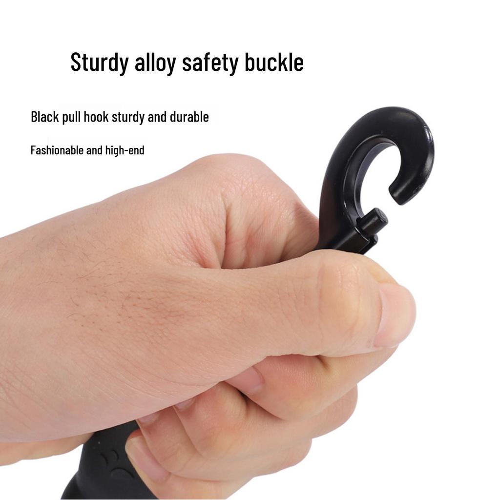 Grenzübersetzliche Leuchtende Nylon-Hundeleine - Nachtgebrauch, Verschleißfest, Explosionsgeschützt