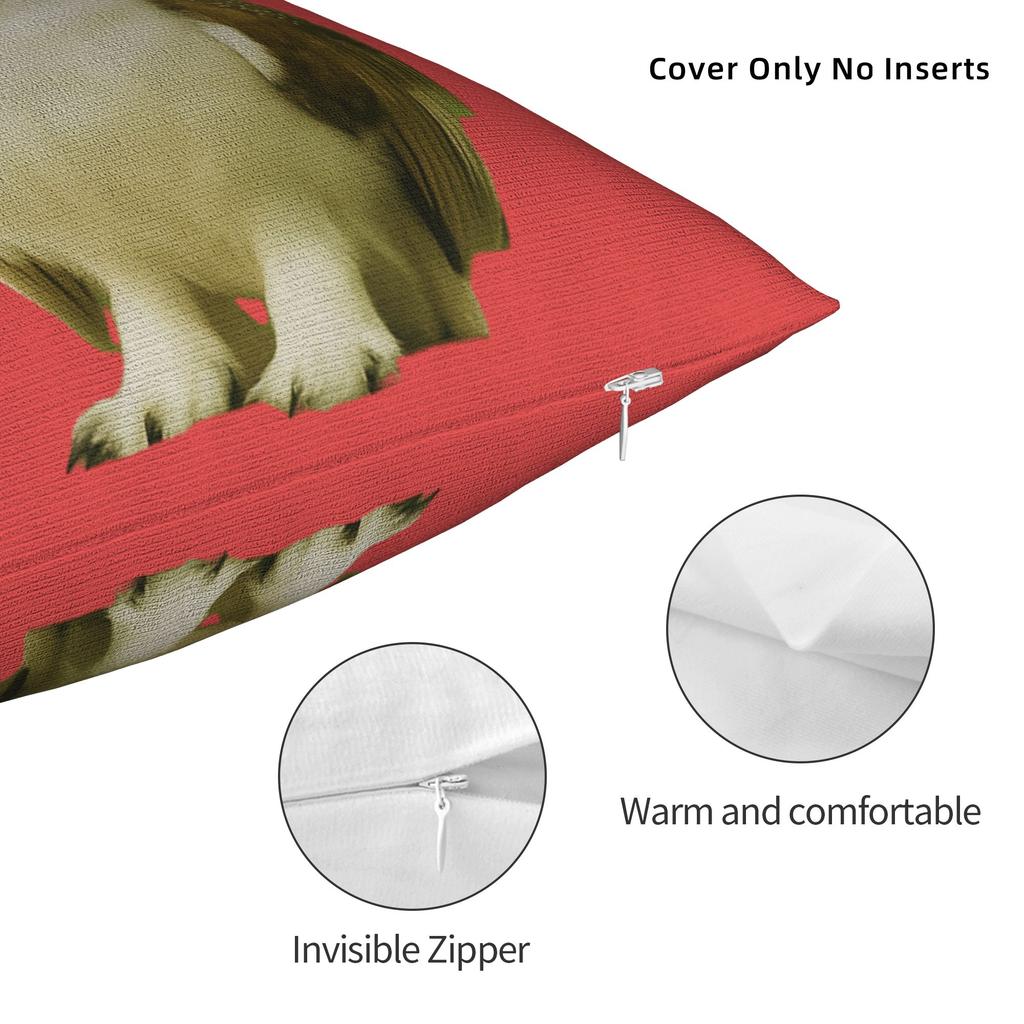 Pillow Cover Internet Famous Meowl Cat Owl Meme  Retro Trendy Pillow Case For Sofa Couch Bed Living Room Pillowcases