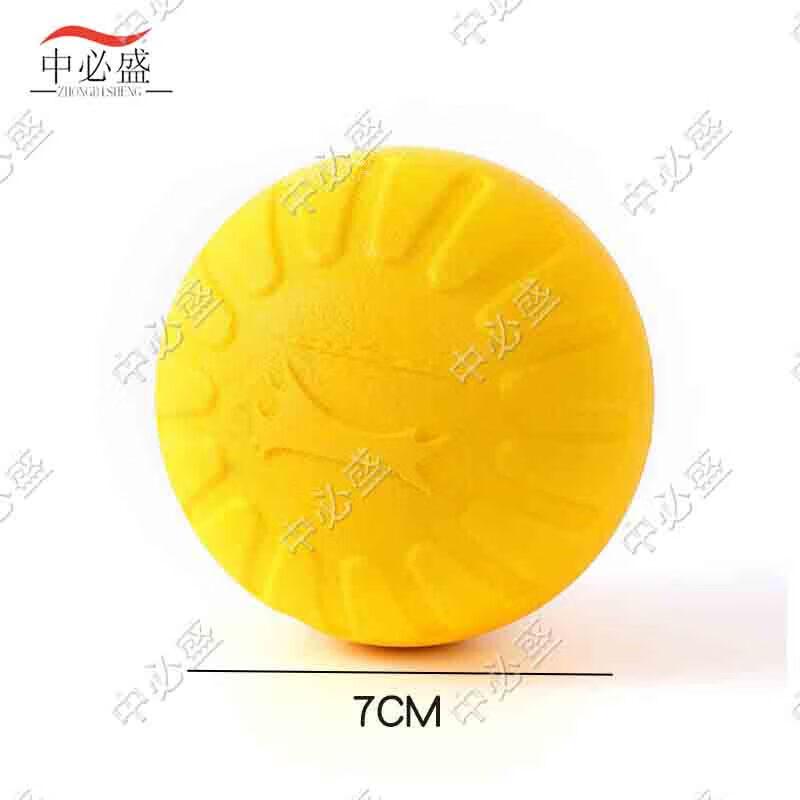 Zhongbisheng EVA Foam Dog Training Toys