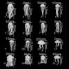 1-5Pcs 3D Mini Jellyfish Model Crystal Ocean Resin Modeling Filler For DIY Crafts Jewelry Fillings Decorations Materials