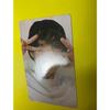 [USED] BTS MAGIC SHOP Magic Shop Majisho DVD Korea Taehyung