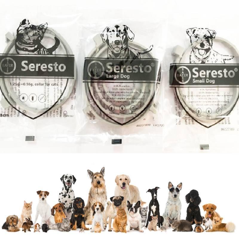 Flea And Tick Prevention Collar For Dogs And Cats- 8 Months Protection Odorless And Non-greasy