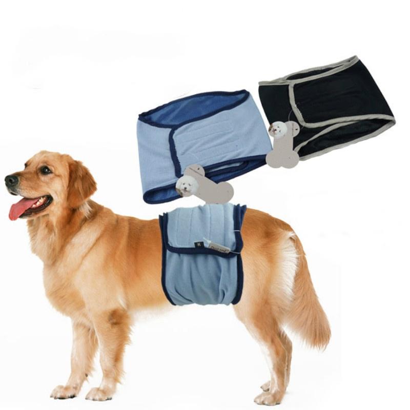 protective pants for dogs