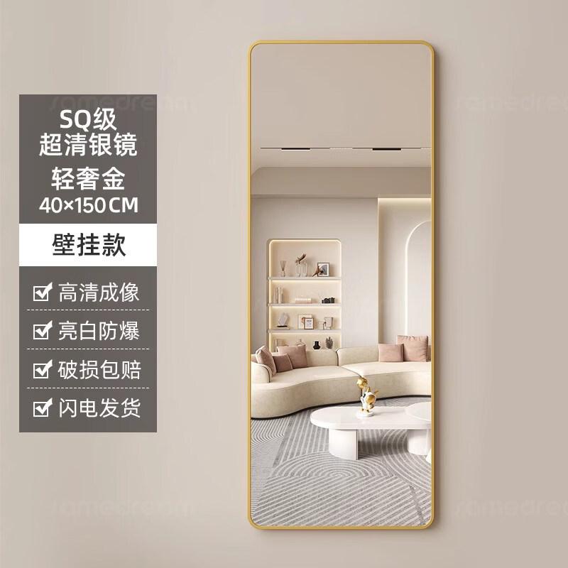 SPACEXPERT Full-Length Wall Mirror