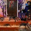 Party Supplies Horror Atmosphere Halloween Decoration Bar Ornament Black Plush Spider Haunted House