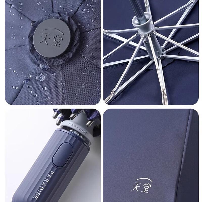 Paradise Langyue Vollautomatischer UV-Schutz Faltbarer Regenschirm
