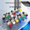 10MM Non-locking Self-reset Doorbell/Horn Button Switch DS-316/314