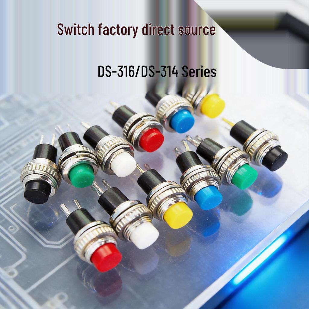 10MM Nicht-verriegelnder Selbstrückstellender Türklingel/Hupe Taster Schalter DS-316/314