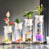 Cylinder Hydroponic Planter Vase Transparent Hydroponic Fish Tank  for Fish Green Plant