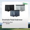 Men's Modal Anti-Bacterial Boxer Briefs (3-Pack)