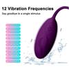 Stimulátor Bod G Vibrátor Ženy Masturbace Bezdrátové ovládání Vibrační vajíčko Vagina Klitoris Masážní sexuální hračky pro ženy