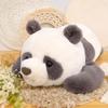 Sun Arrow Cushy Panda Plush Toy