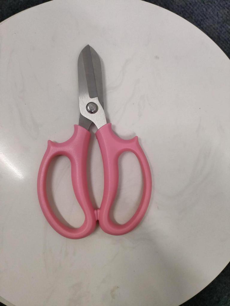 Thickened Gardening Shears - Pruning Flower & Branch Cutters