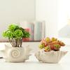 Nordischer Stil Neue Meeres-Serie Keramik-Blumentopf Heim-Wohnzimmer-Dekorationen Muscheln Sukkulenten Grüne Pflanzen