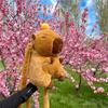 Cute Soft Plush Capybara Backpack Girl Fashionable Crossbody Bag for Women Kawaii Shoulder Bag for Children Gifts for Girlfriend