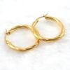 18K Stainless Steel Twisted Hoop Earrings for Women - European American Fashion, Simple Titanium Style