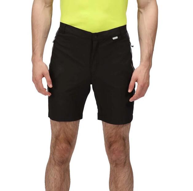 Regatta Mountain II Shorts