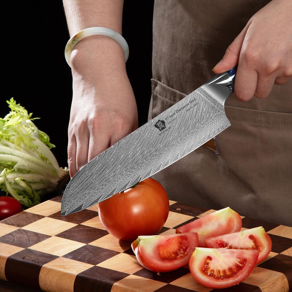 WILDMOK Professional 7 Inch Santoku Chef Knife Japanese 67 Layers Damascus Steel with Resin Handle Kitchen Knife