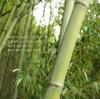 Seeknit Umber Bamboo Knitting Hooks x 3