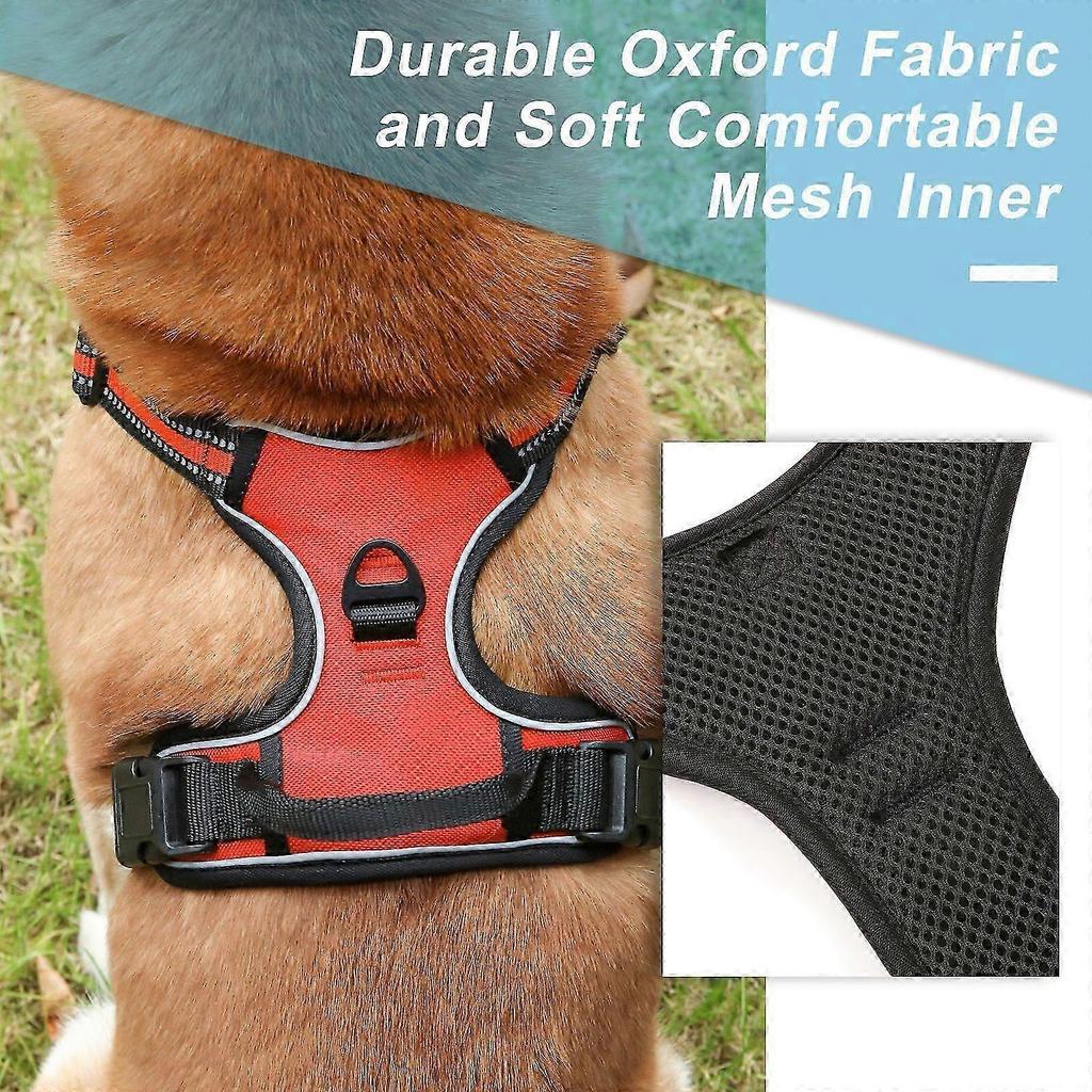 Adjustable No-Pull Dog Harness with Soft Padding and Control Handle