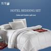 Yiyiai Hotel & Apartment All-Season Duvet Insert