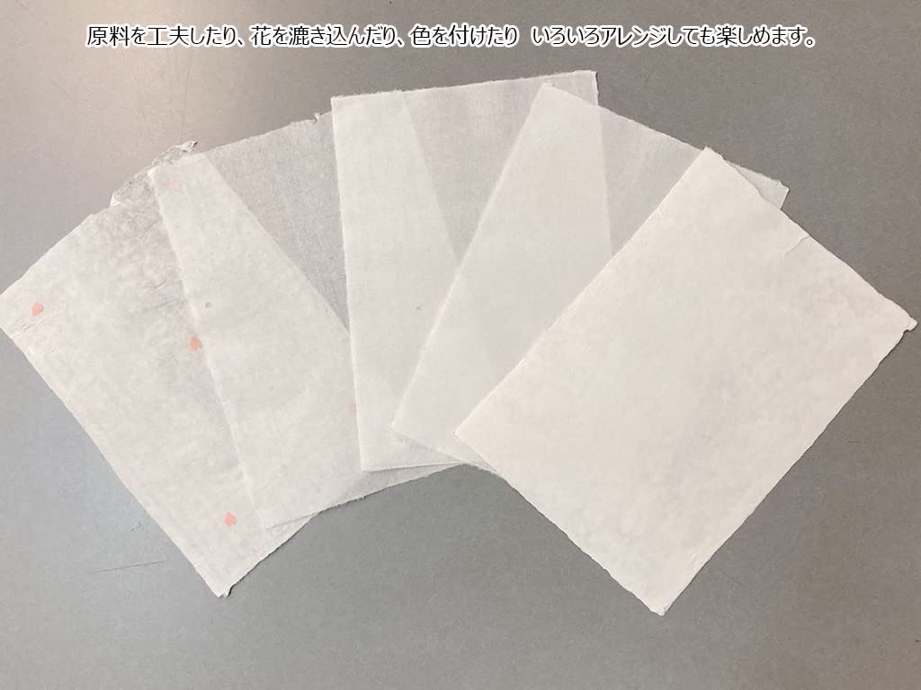 MOLZA Beauty Paper Studio Washi Paper A4 Size Crafts Papermaking Kit for Home Various Arrangements Kit Made In Japan Use, "Papermaking ZA-01"