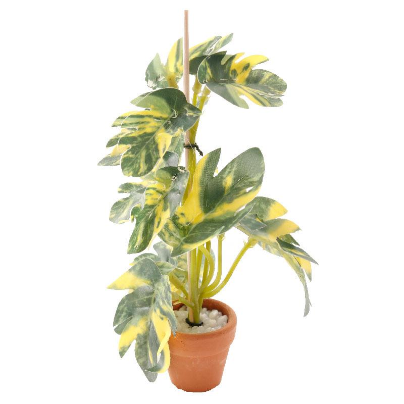 1/12 Dollhouse Simulation Green Plants Bonsai Model Dollhouse Scene Decoration Micro Landscape Garden Bonsai Ornament