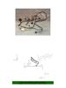 Front Parking Sensor Wiring Harness for 2020-2023 Mercedes-Benz GLE Class W167